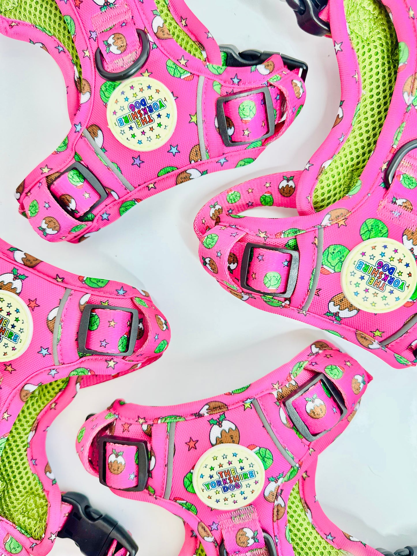 Season’s Eatings Yorkshire Trails Harness