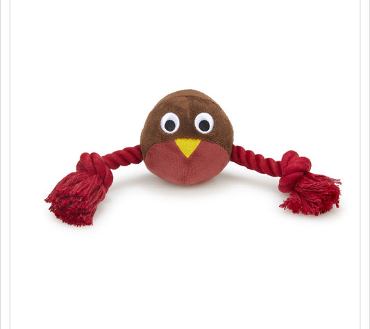 Ryan Robin