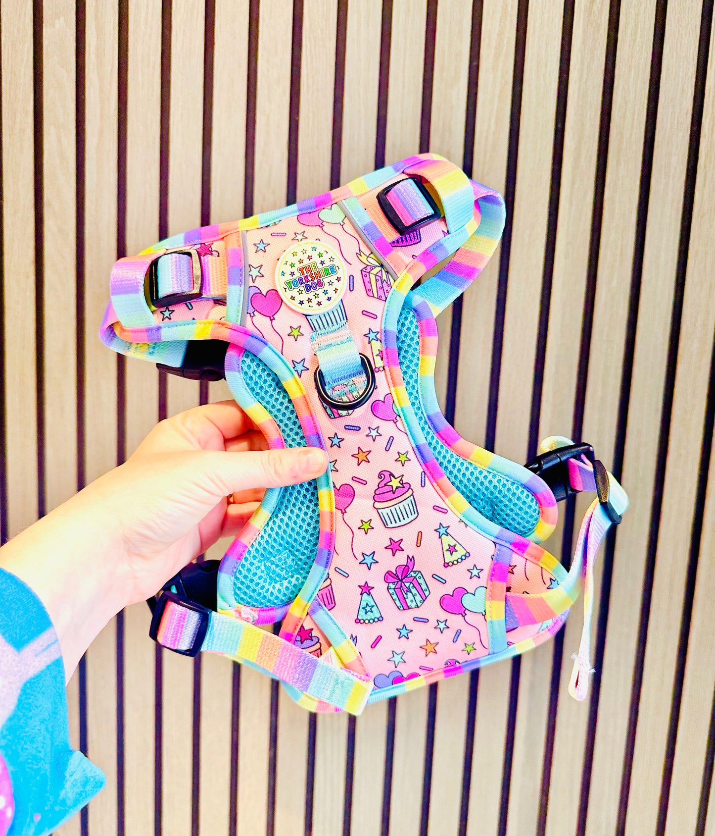 YD Party Yorkshire Trails Harness