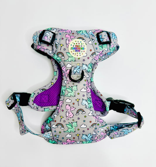 Dreamy Dragons Yorkshire Trails Harness