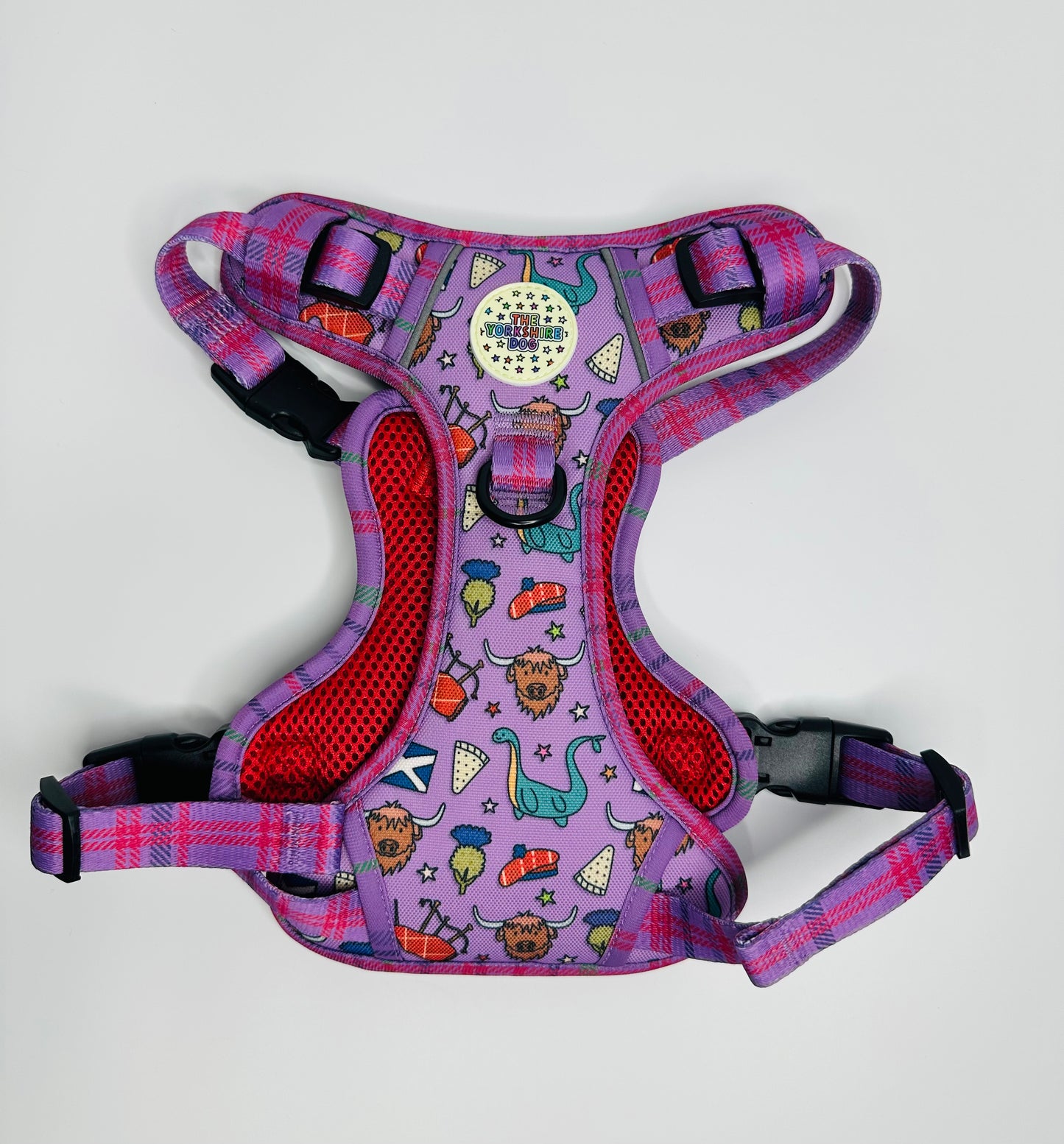 SECONDS Highland Izzy Yorkshire Trails Harness